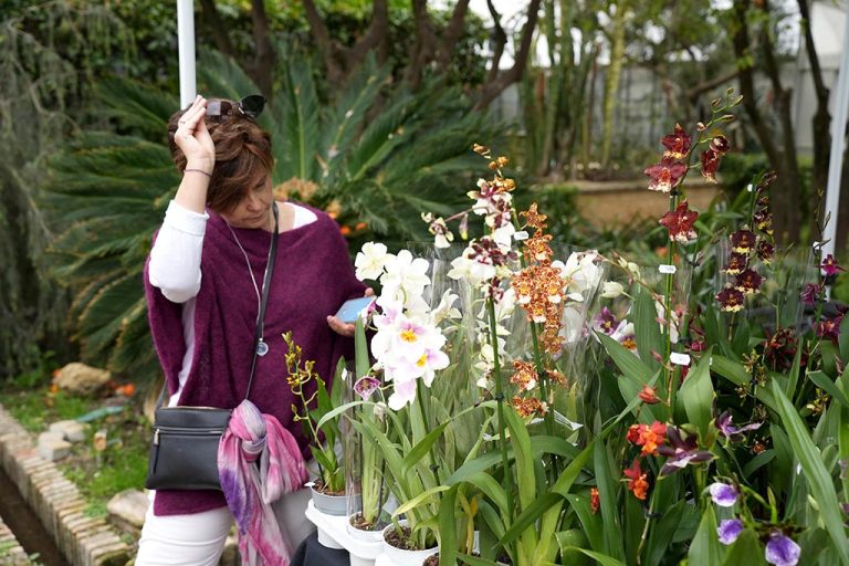 La Feria de Orquídeas reúne 10.000 curiosidades en El Botánico