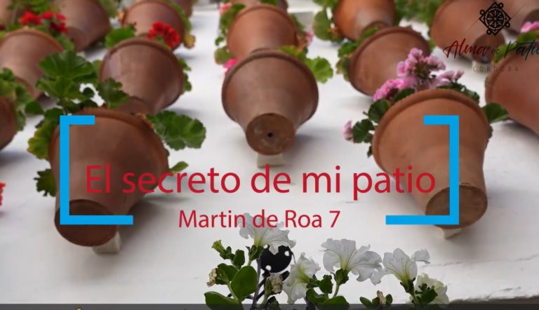 EL SECRETO. Martín de Roa 7