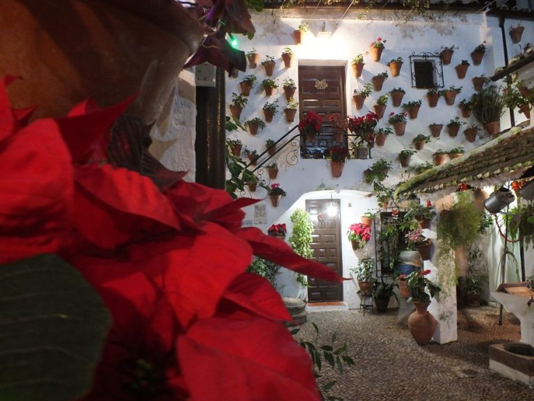 Feliz Navidad desde los Patios de Córdoba