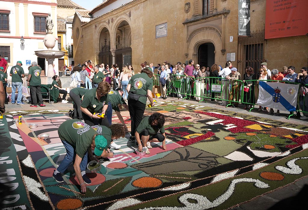 Elaboración de la alfombra