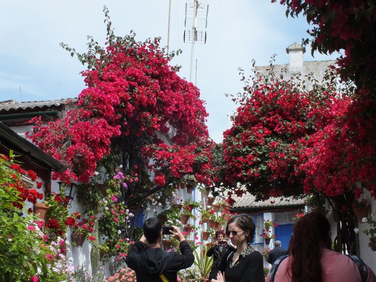 Marroquíes 6 duplica su corona con la Mención de Honor 2025