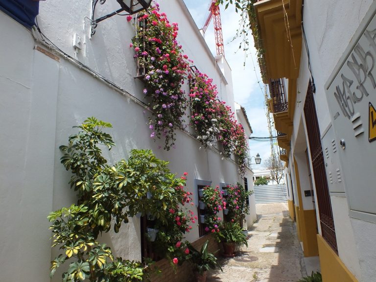 Tafures 4 se impone en el Concurso de Rejas y Balcones 2025