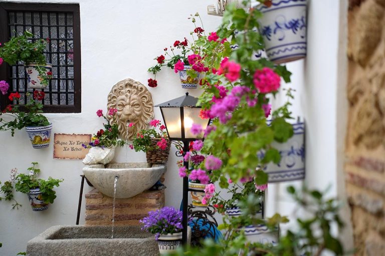 Santa Ana, el patio cordobés debutante de 436 años por la gracia de Dios