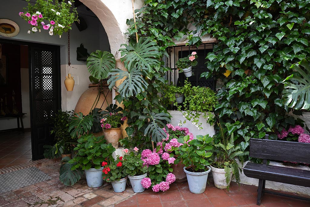 Patios de Córdoba, patio de la calle Badanas 13, fotos Chencho Martínez