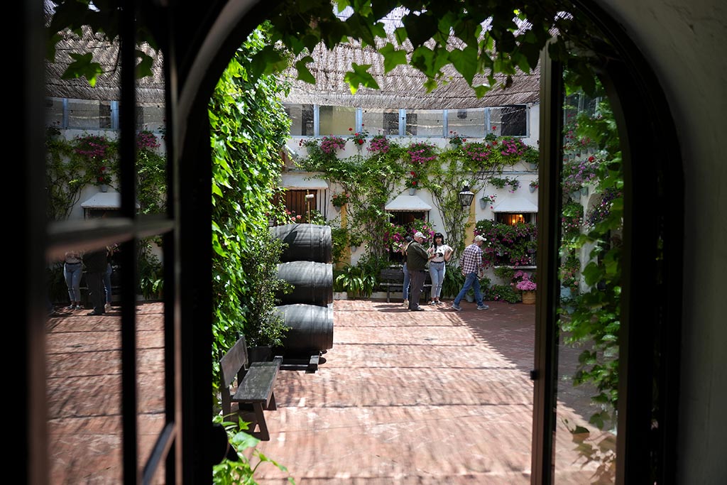 Patios de Córdoba, patio de la calle Badanas 13, fotos 